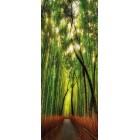 Deursticker Bamboe bos